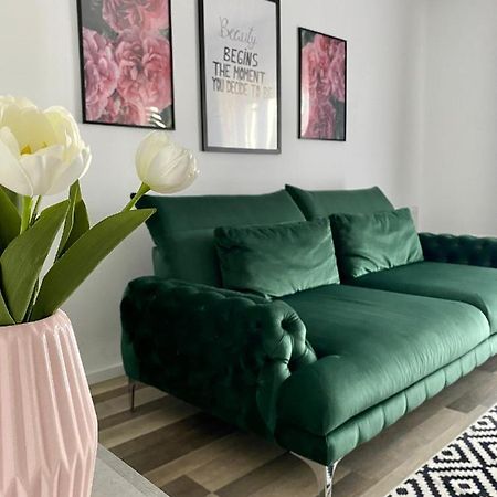 Velvet Studio Târgu-Mureş المظهر الخارجي الصورة